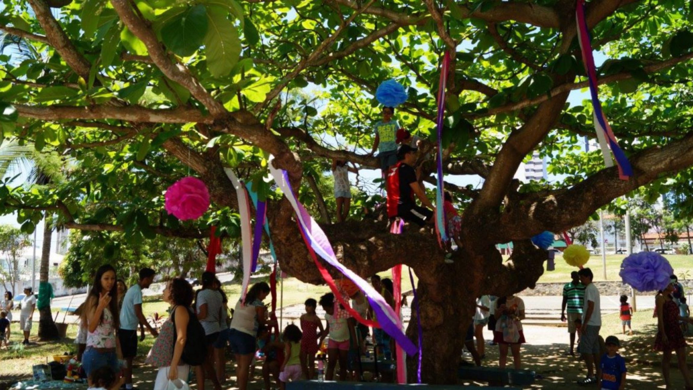 Feira de Troca de Brinquedos: Quando vai ser a próxima?